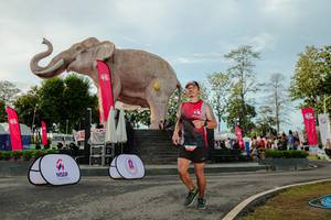 BIB: 
                            <button type="button" onclick="openModal(26529159)" class="btn btn-primary btn-sm float-right btn-popup" data-toggle="modal" data-target=".modal-high-quality">
                        <i class="fas fa-shopping-cart"></i> Add to Cart
                    </button>
                                            <button type="button" onclick="isThisMe(26529159, true)" class="btn btn-success btn-sm float-right btn-popup btn-isme hidden" data-toggle="tooltip" data-placement="bottom" title="นี่คือรูปของคุณใช่ไหม คลิกที่นี่เพื่อเอาเข้าอัลบั้ม">
                        <i class="fas fa-plus"></i> Add to album
                    </button>
                    <button type="button" onclick="isThisMe(26529159, false)" class="btn btn-warning btn-sm float-right btn-popup btn-isnotme hidden">
                        <i class="fas fa-ban"></i> Remove from album
                    </button>